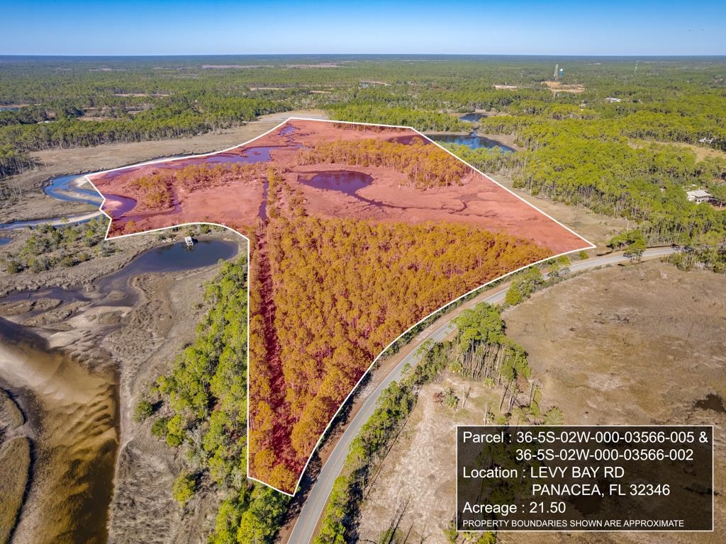 Xx Levy Bay Road Panacea, FL 32346 - Photo 24 of 26