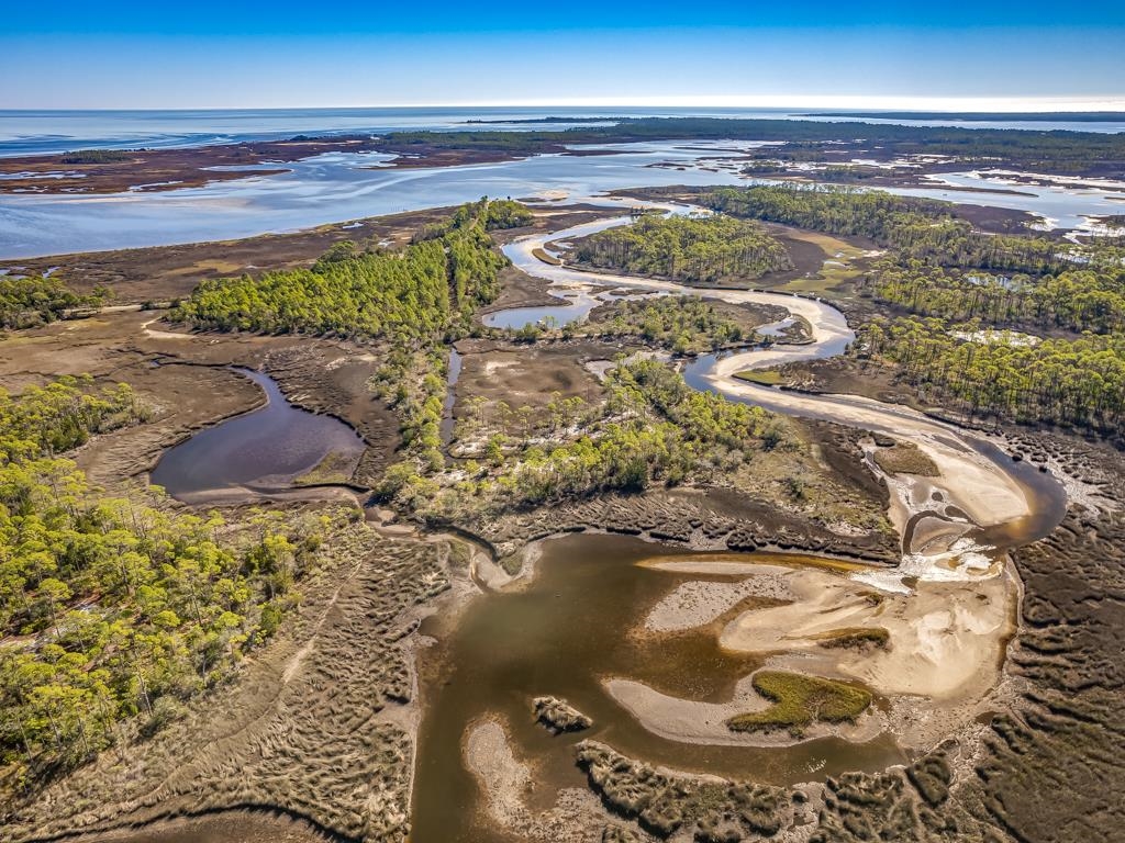 Xx Levy Bay Road Panacea, FL 32346 - Photo 25 of 26