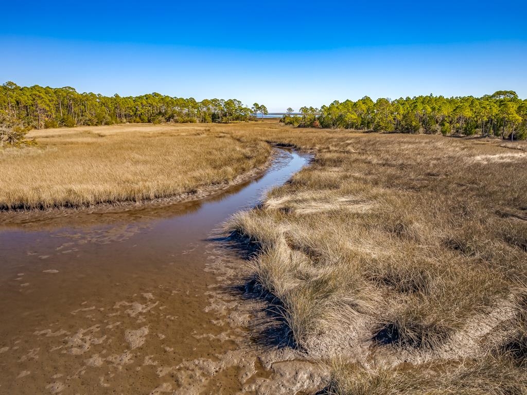 Xx Levy Bay Road Panacea, FL 32346 - Photo 3 of 26