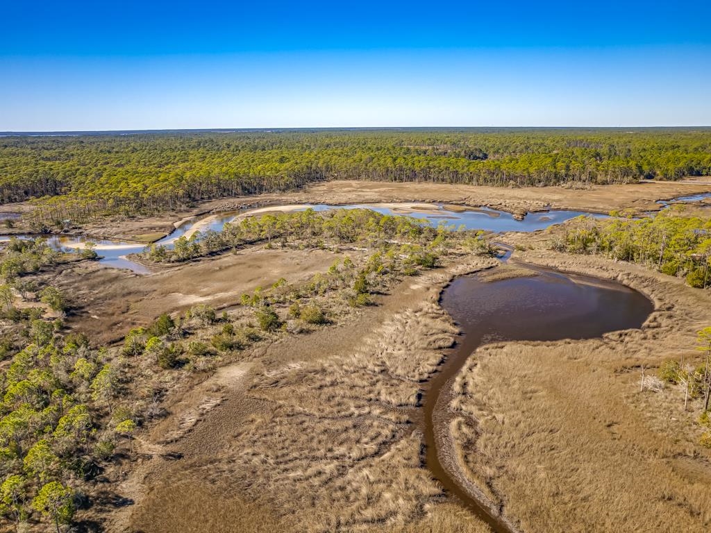 Xx Levy Bay Road Panacea, FL 32346 - Photo 4 of 26