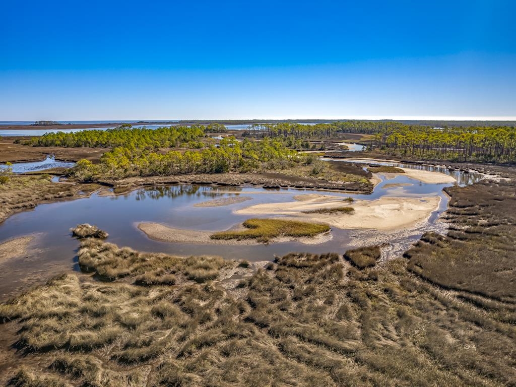 Xx Levy Bay Road Panacea, FL 32346 - Photo 5 of 26