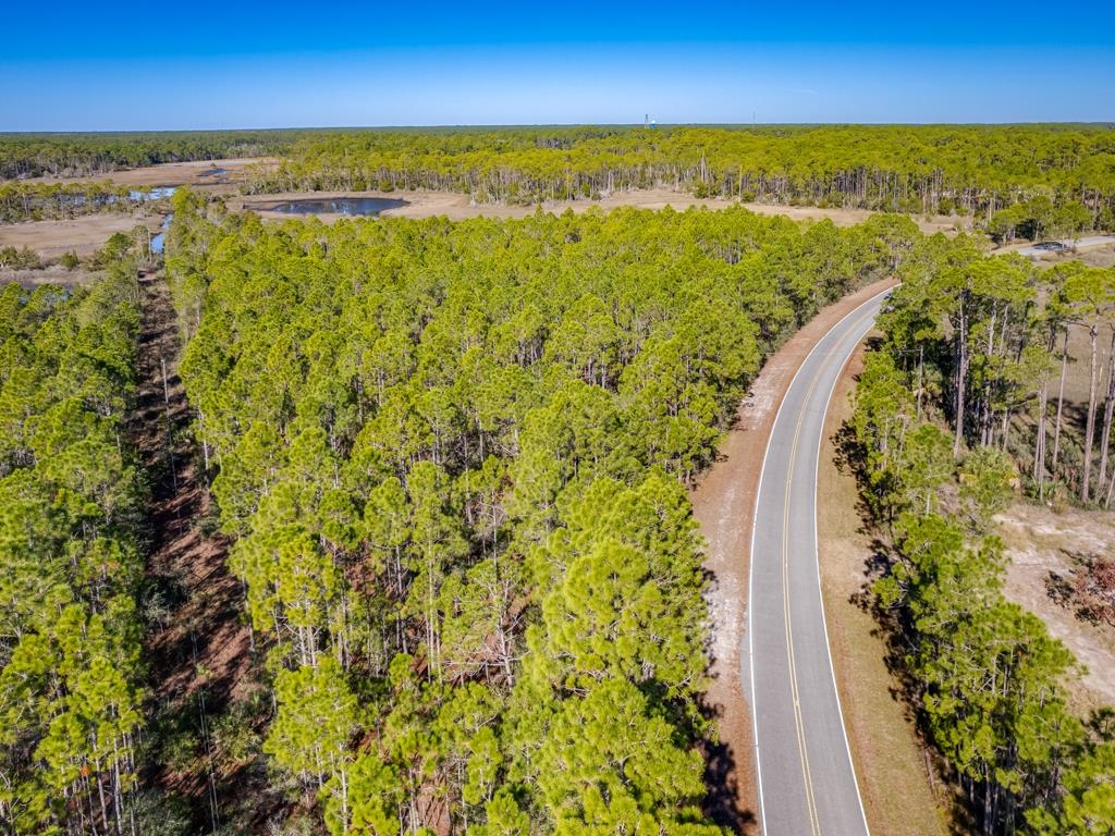 Xx Levy Bay Road Panacea, FL 32346 - Photo 6 of 26