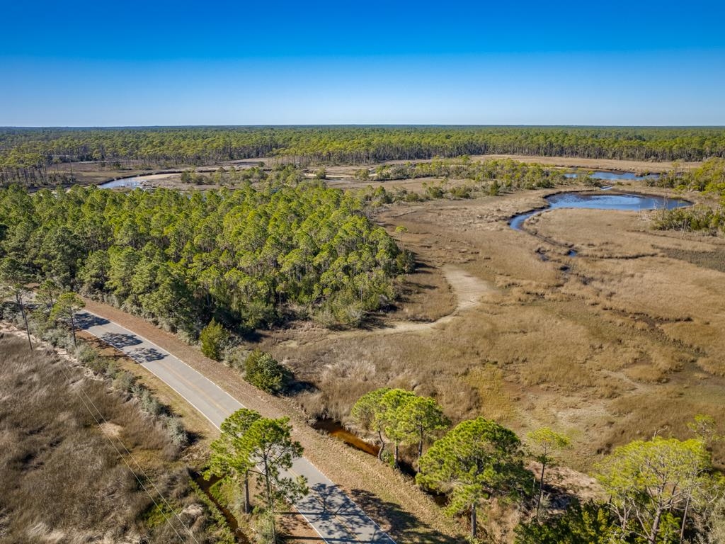 Xx Levy Bay Road Panacea, FL 32346 - Photo 7 of 26