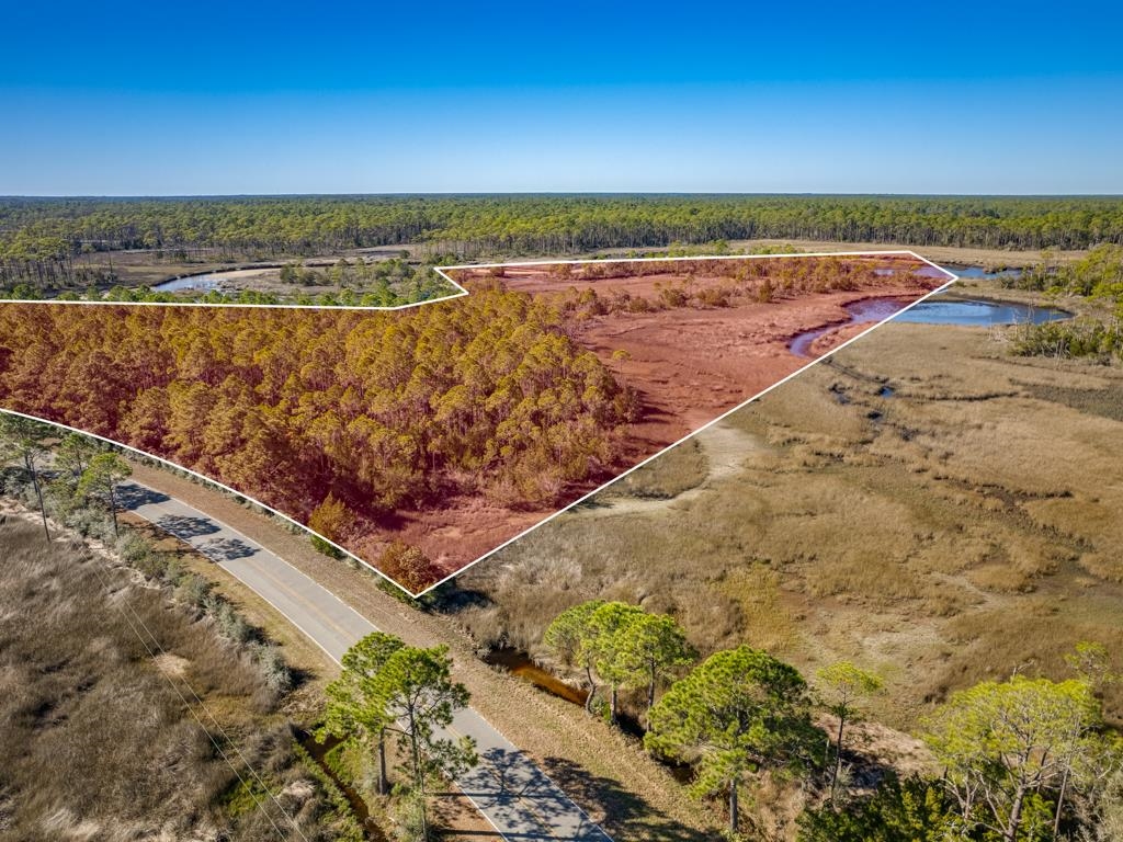 Xx Levy Bay Road Panacea, FL 32346 - Photo 8 of 26