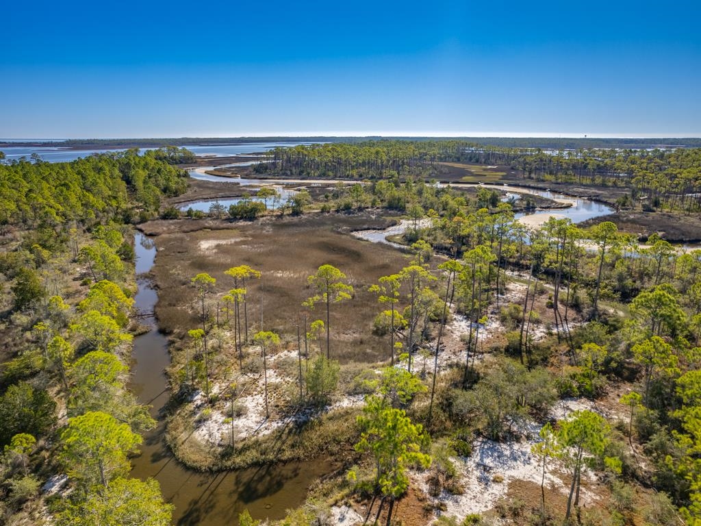 Xx Levy Bay Road Panacea, FL 32346 - Photo 10 of 26