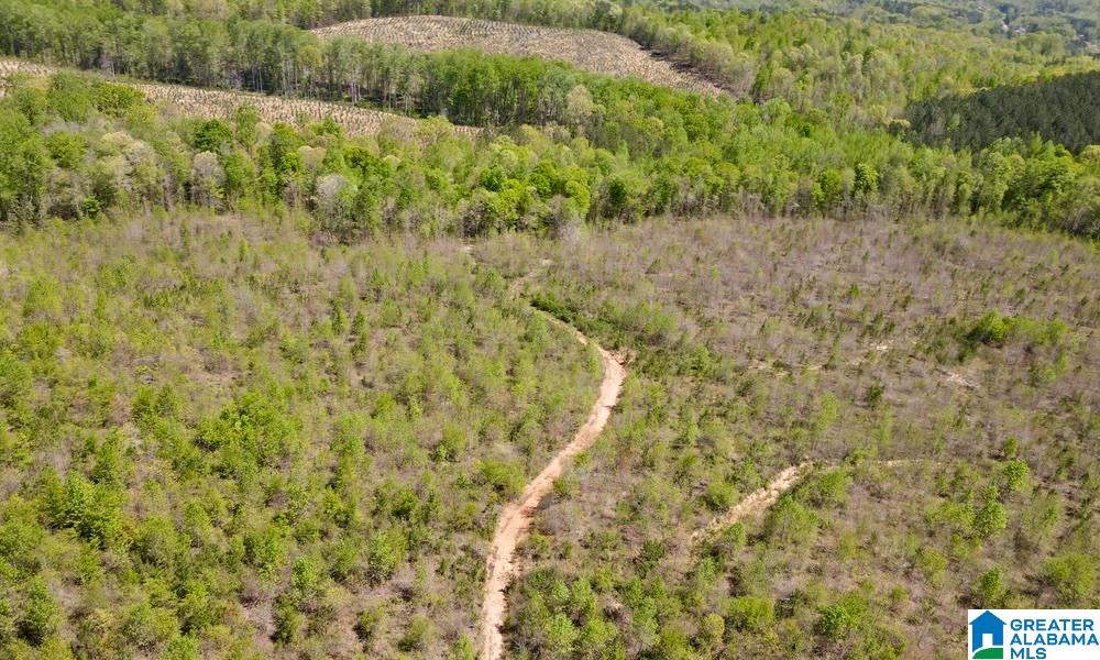 0 Landfill Road, Unit 1 Ashland, AL 36251 - Photo 10 of 15