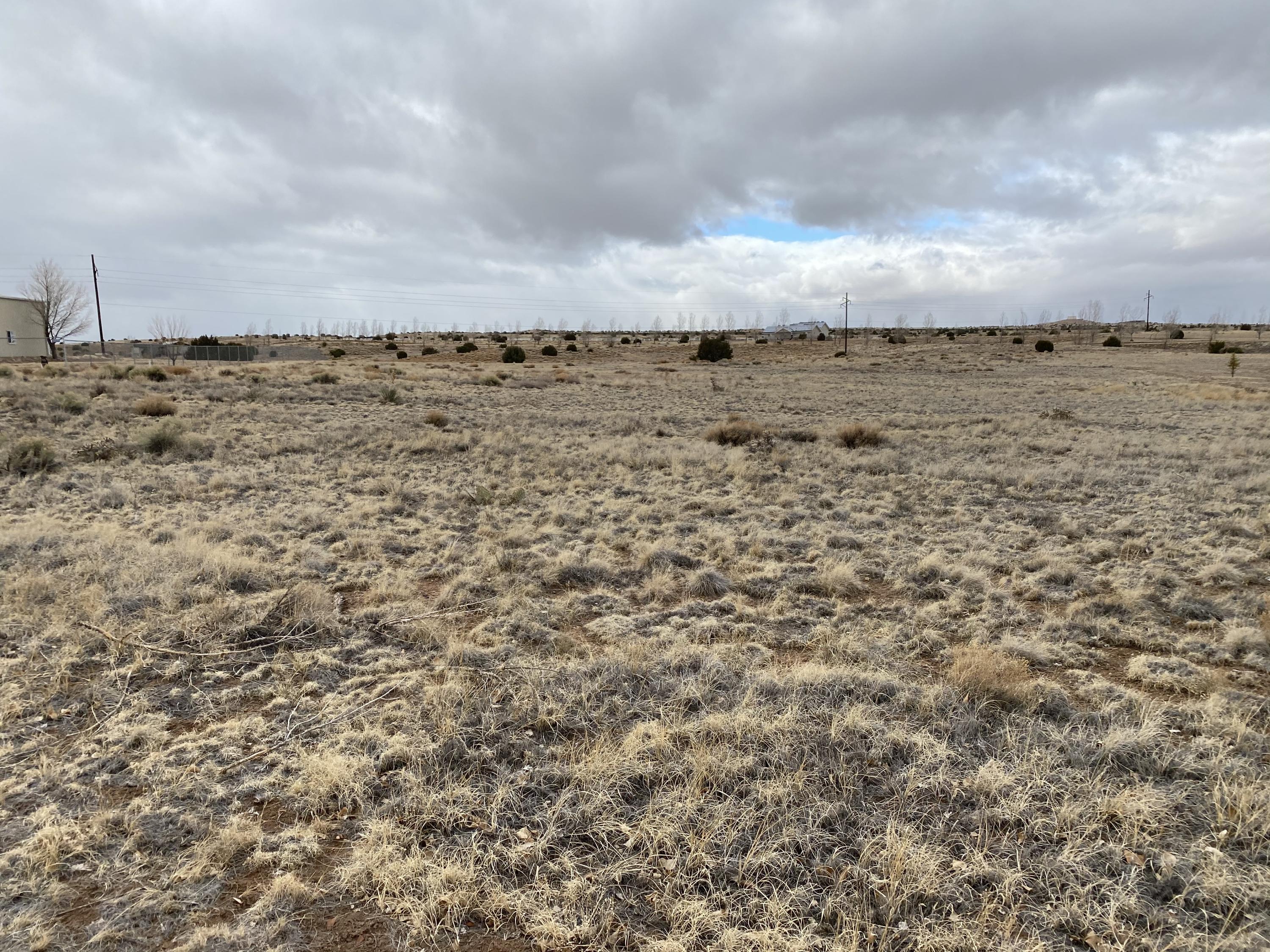 Lot # Apple Circle Taylor, AZ 85939 - Photo 3 of 10