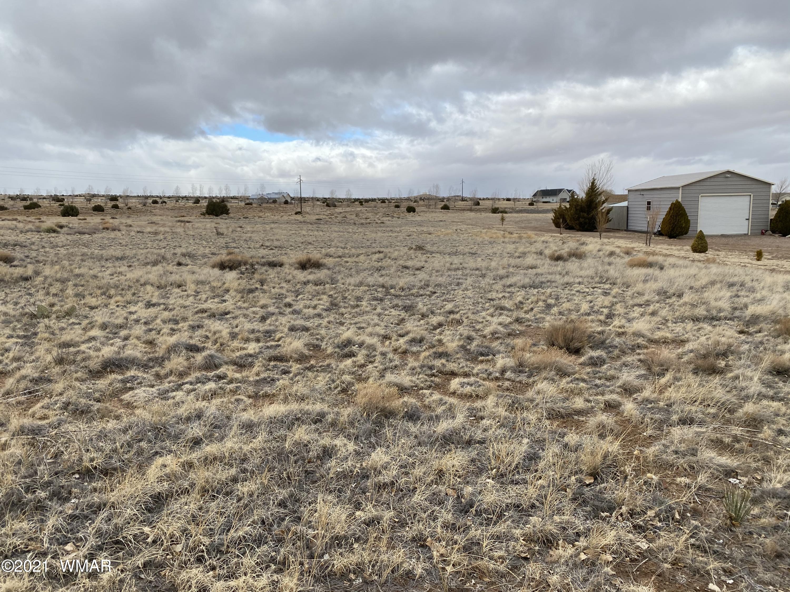 Lot # Apple Circle Taylor, AZ 85939 - Photo 4 of 10