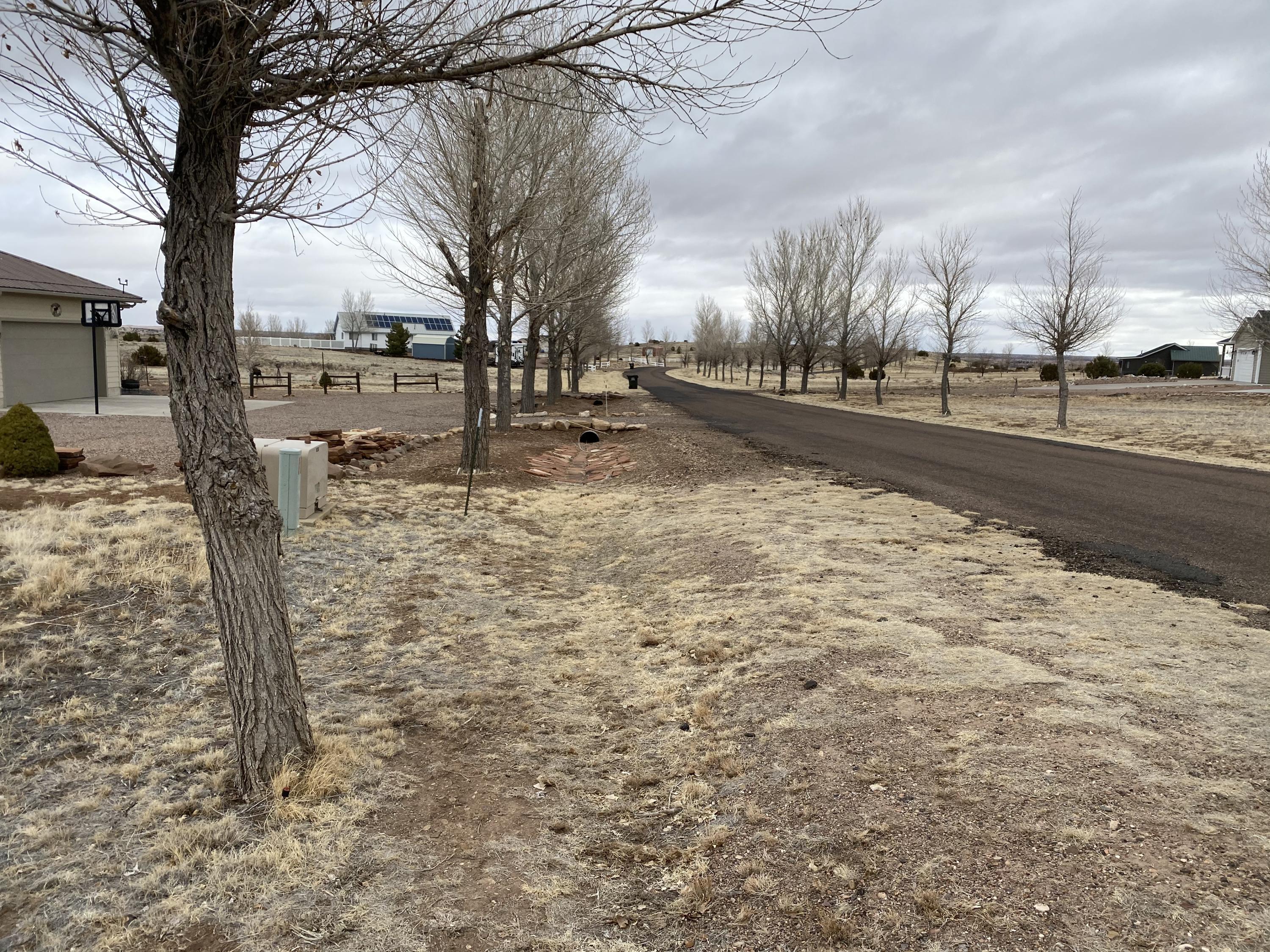 Lot # Apple Circle Taylor, AZ 85939 - Photo 5 of 10