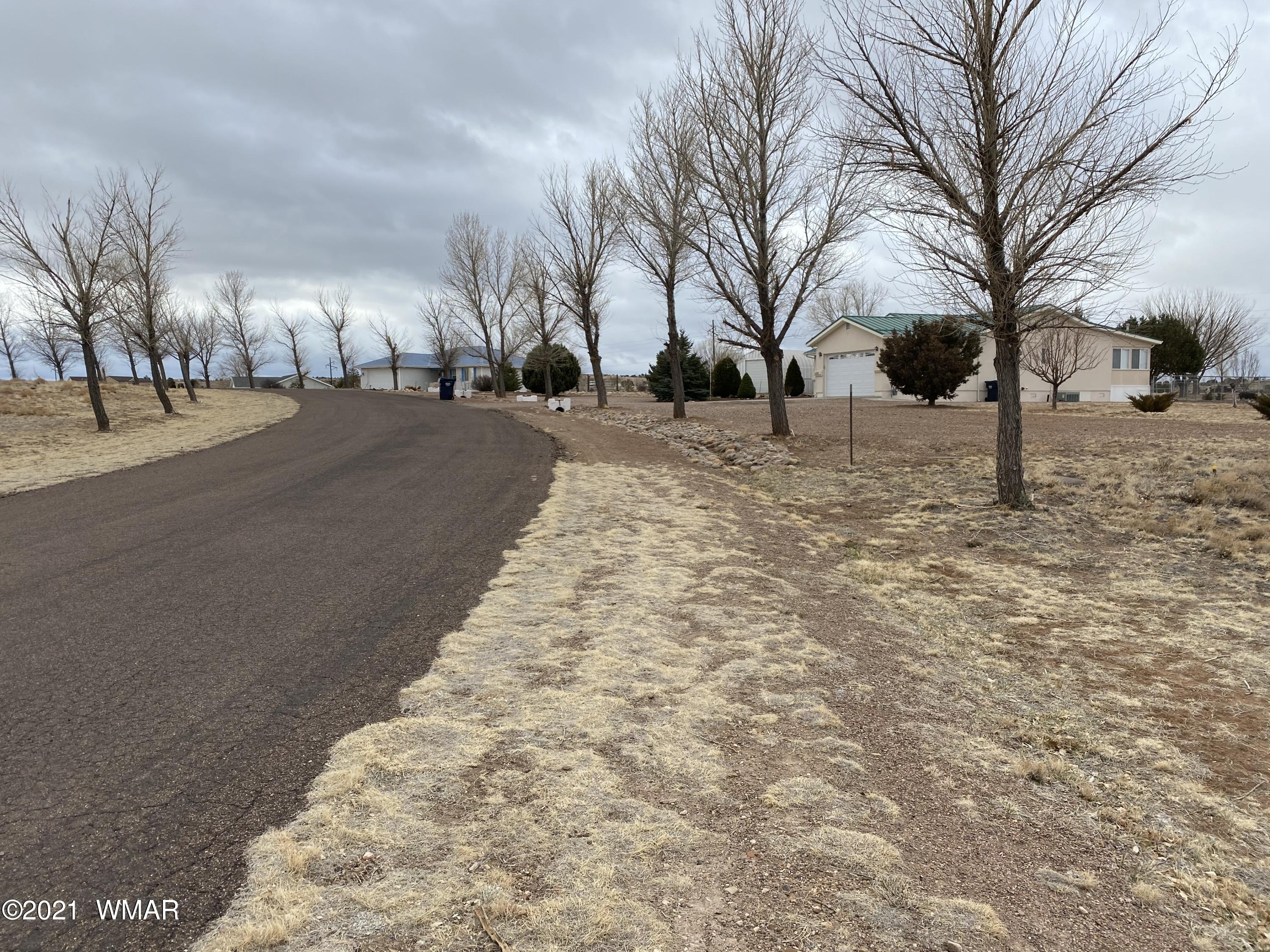 Lot # Apple Circle Taylor, AZ 85939 - Photo 6 of 10