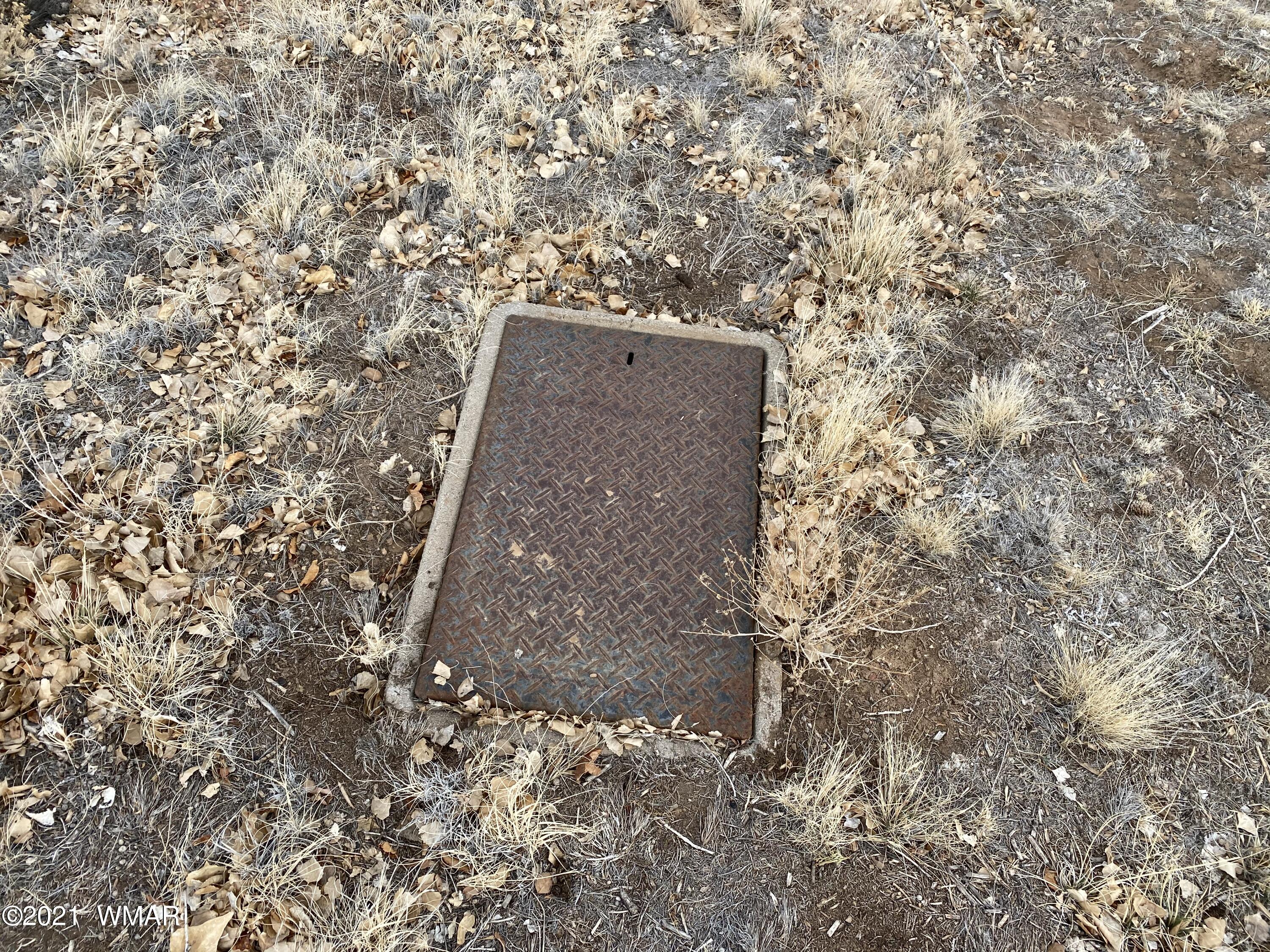 Lot # Apple Circle Taylor, AZ 85939 - Photo 7 of 10