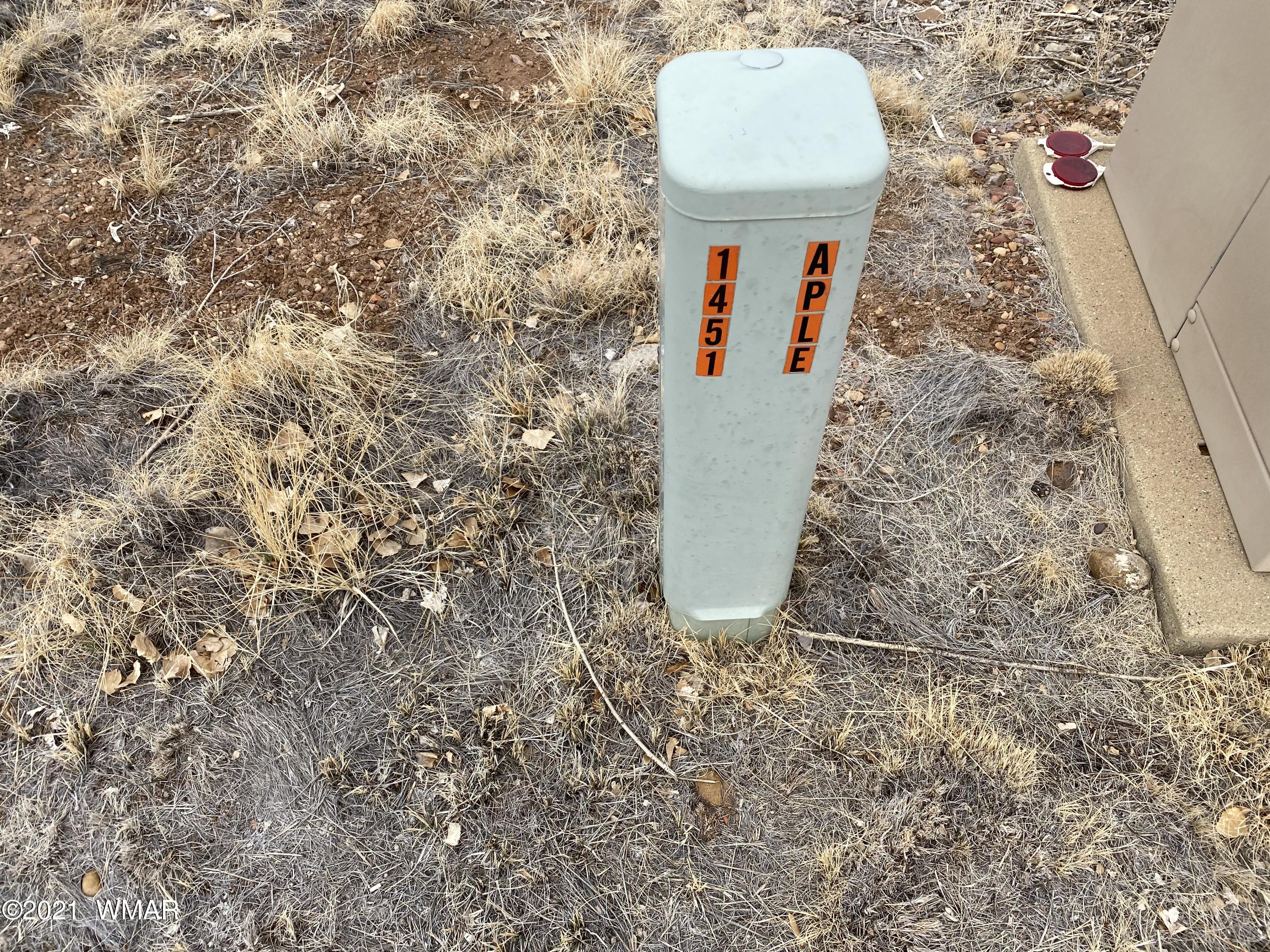 Lot # Apple Circle Taylor, AZ 85939 - Photo 8 of 10