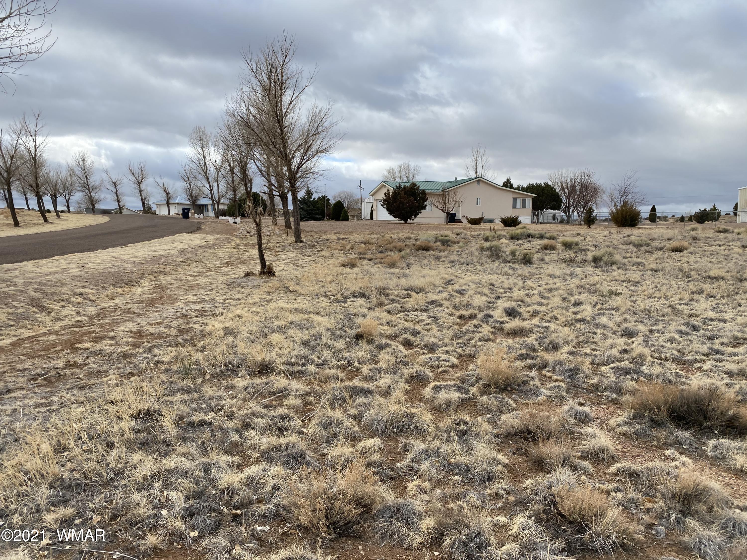 Lot # Apple Circle Taylor, AZ 85939 - Photo 10 of 10