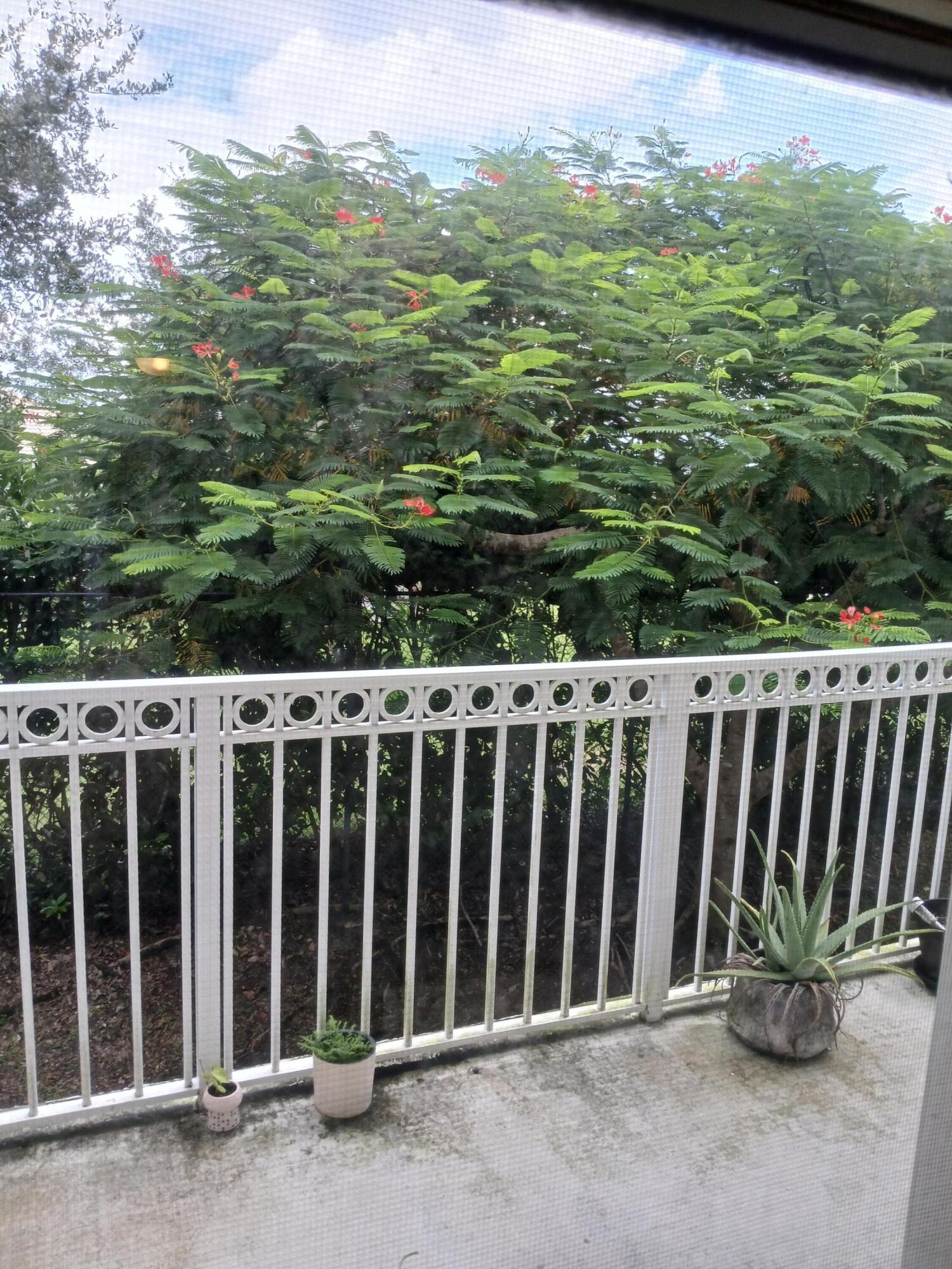 9857 Baywinds Boulevard, Unit 9212 Royal Palm Beach, FL 33411 - Photo 23 of 23 a view of a balcony with an outdoor space