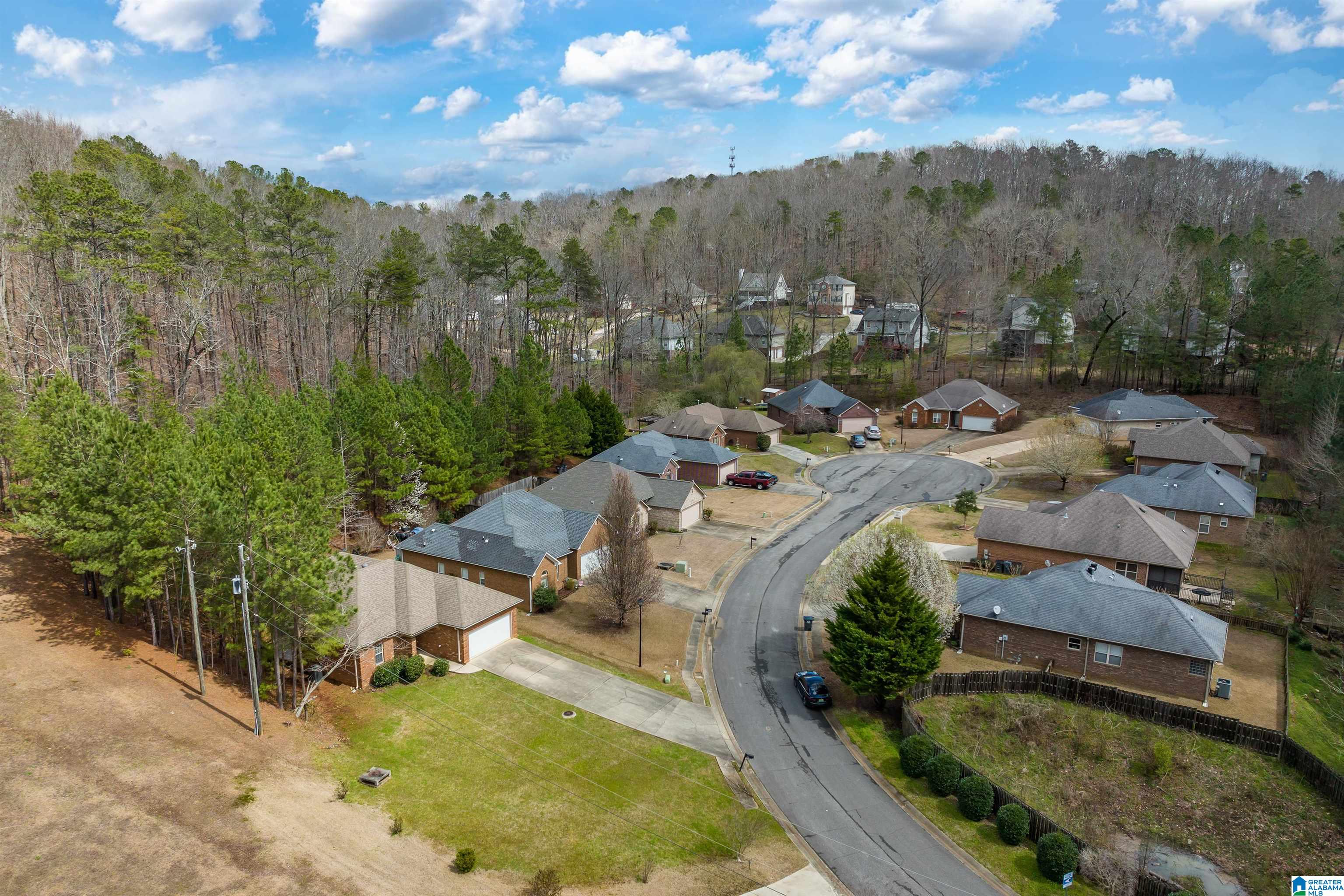 6734 Heaton Manor Pinson, AL 35126 - Photo 22 of 29
