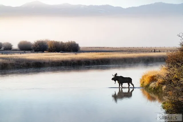 $2,200,000 | 1004 Eddyline Drive, Tetonia, ID 83452