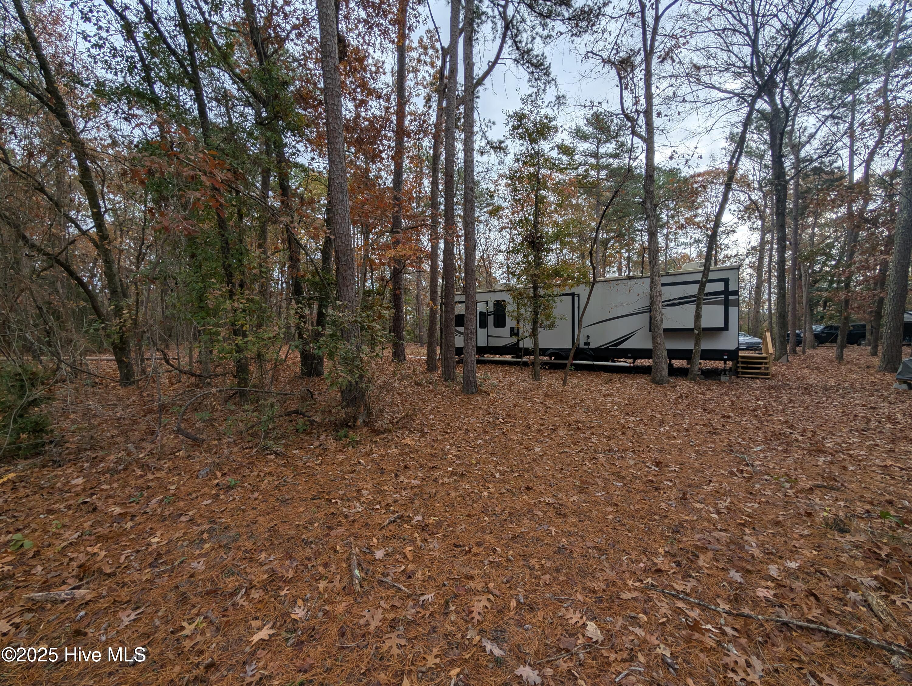 340 Elizabeth Road Arapahoe, NC 28510 - Photo 9 of 11 PXL_20241210_151238744