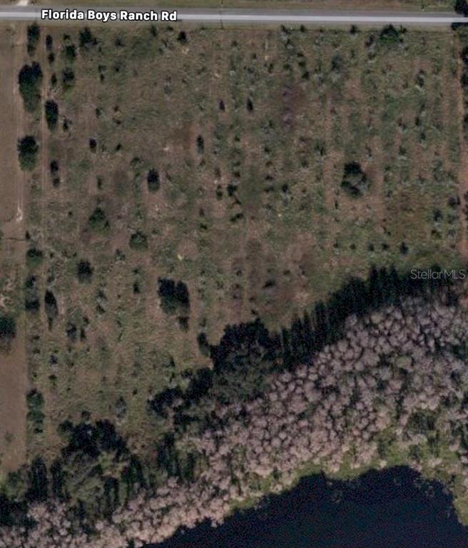 ` Florida Boys Ranch Road Groveland, FL 34736 - Photo 1 of 1 Gallery Image 1