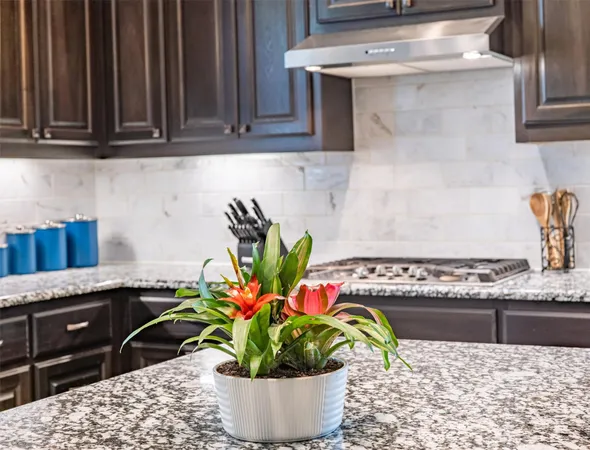 a potted plant sitting on top of a granite counter