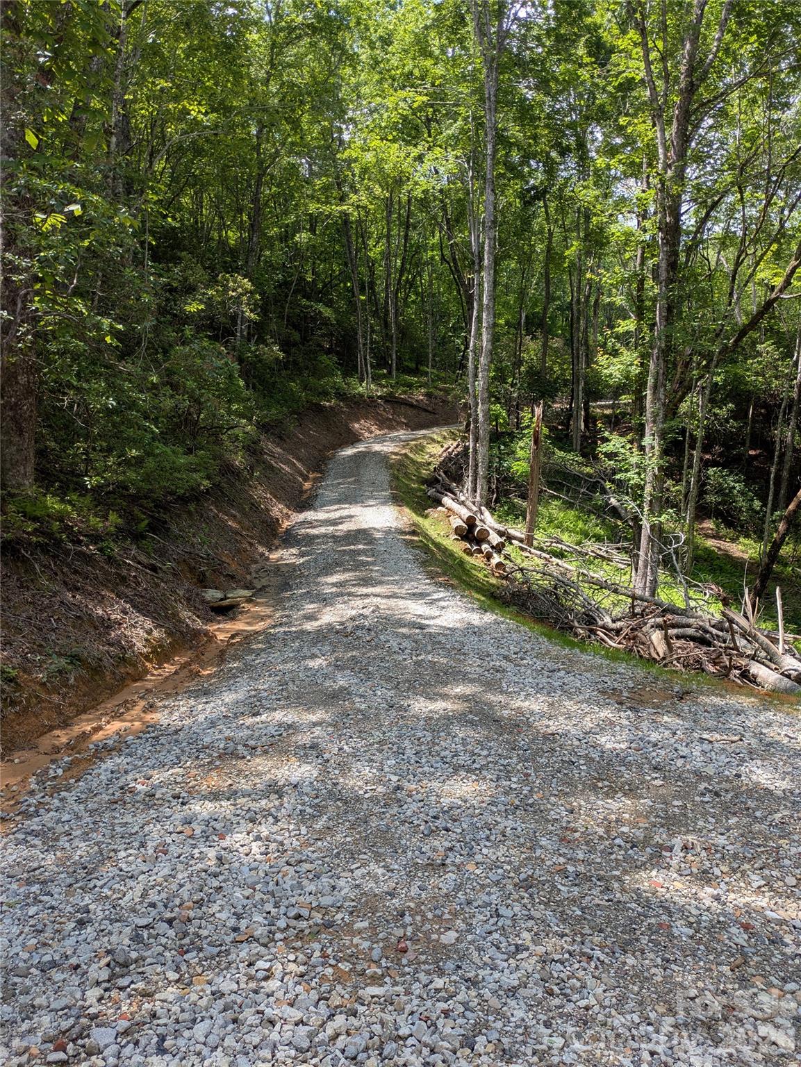 313 Line Runner Ridge Road Brevard, NC 28712 - Photo 29 of 33
