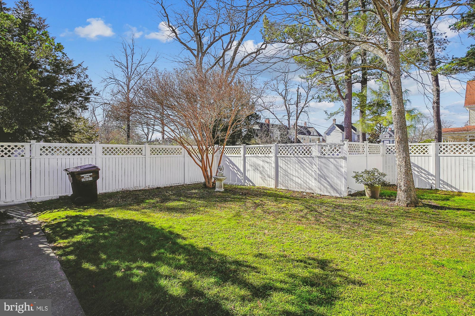 213 Oakley Street Cambridge, MD 21613 - Photo 4 of 47 Back Yard