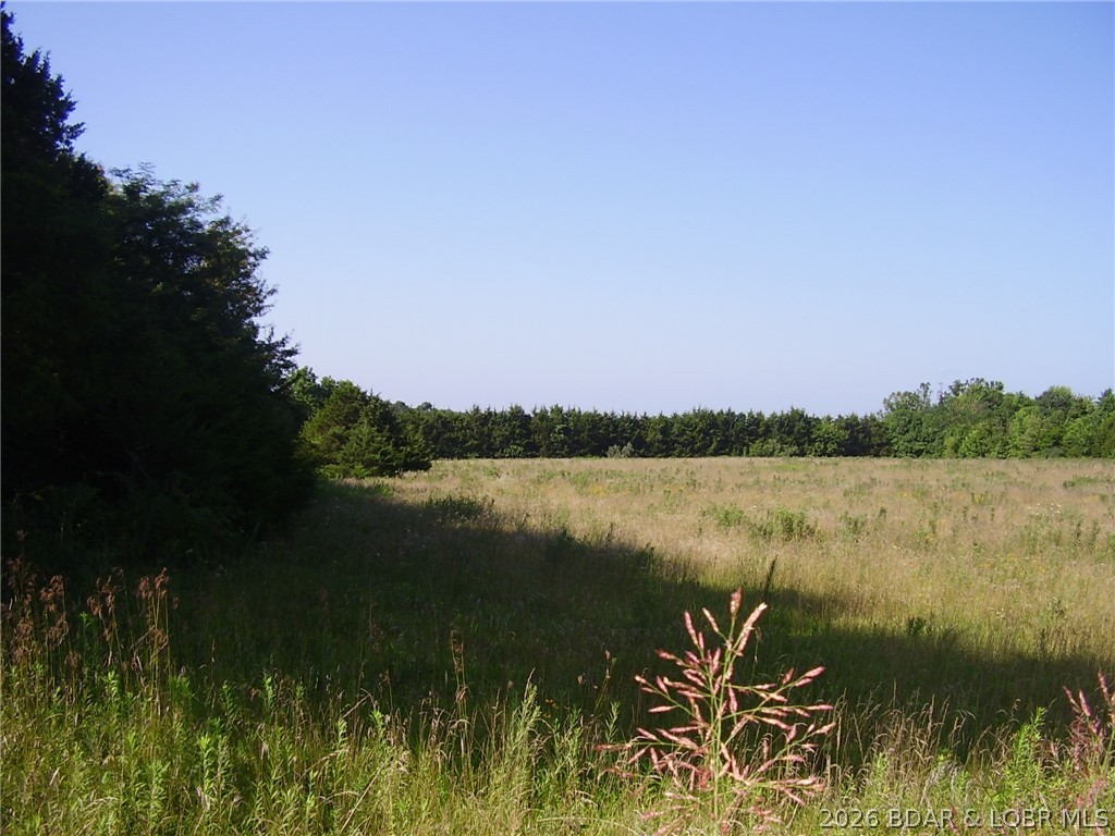 3525 South 240th Road Louisburg, MO 65685 - Photo 4 of 17