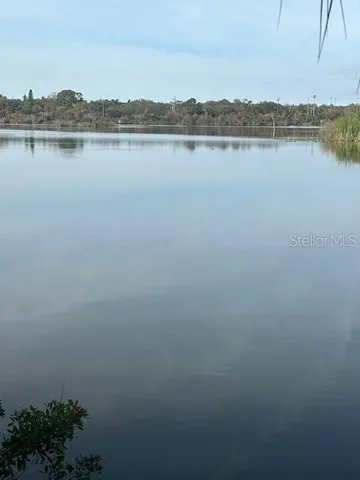 $1,595 | 1001 South Bayshore Boulevard, Unit 201, Safety Harbor, FL 34695