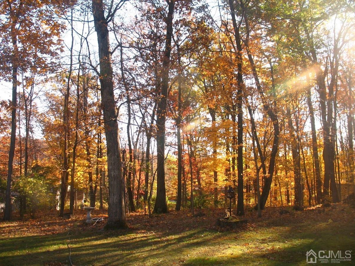 1044 Carteret Road Bridgewater, NJ 08807 - Photo 35 of 37 Gallery Image 35