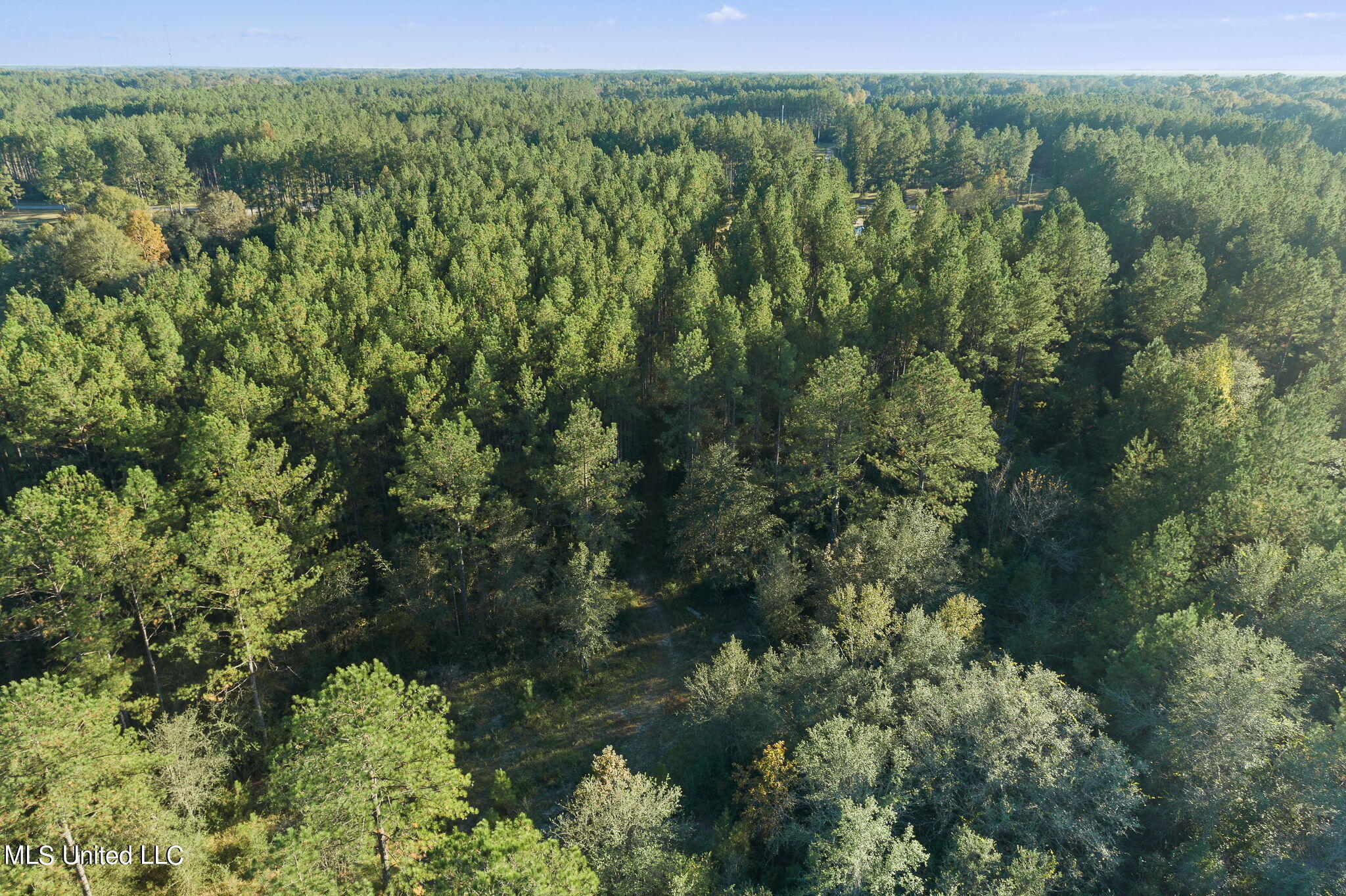 2192 Mt Pleasant Road Lucedale, MS 39452 - Photo 29 of 30 4 Drone View (4 of 5)