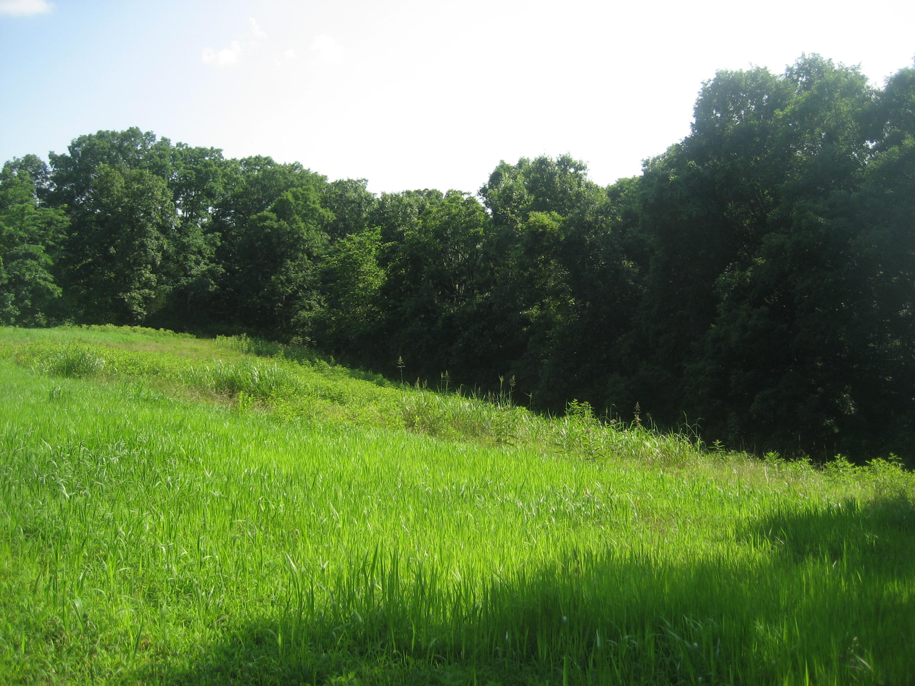 511 Saylor Point Road Corinth, KY 41010 - Photo 10 of 22 IMG_0559