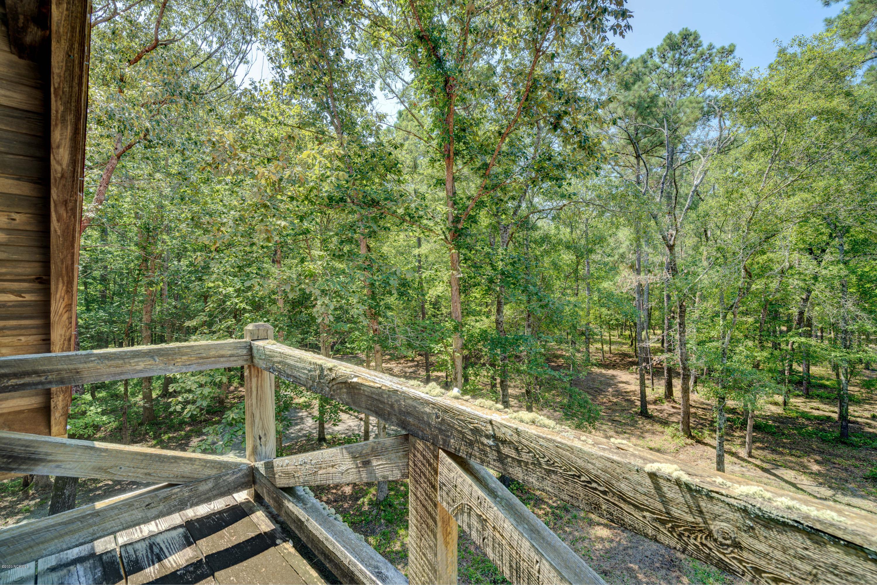 1025 Racoon Hollow Road Atkinson, NC 28421 - Photo 29 of 64 1025RacoonEdit-26