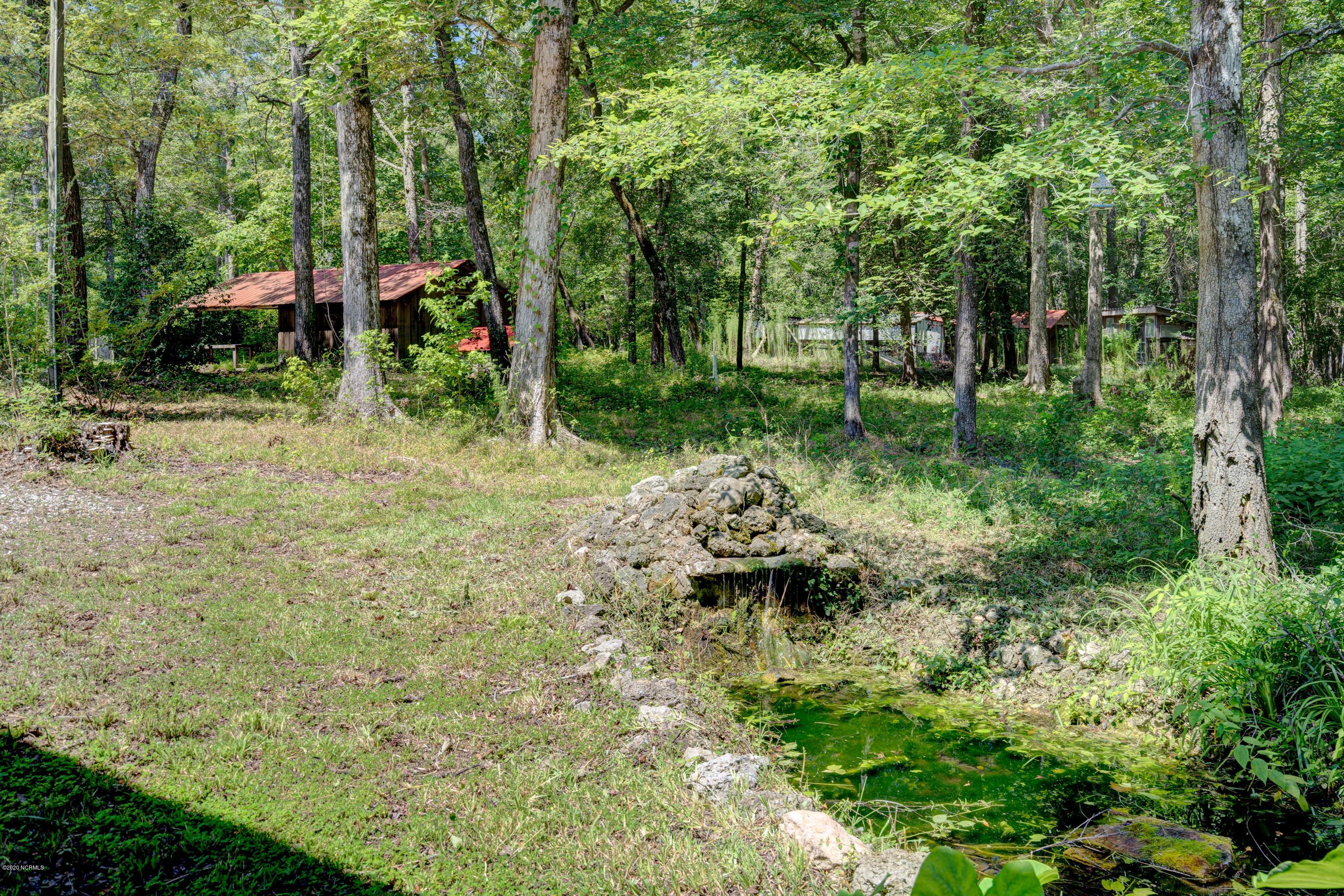 1025 Racoon Hollow Road Atkinson, NC 28421 - Photo 46 of 64 1025RacoonEdit-39