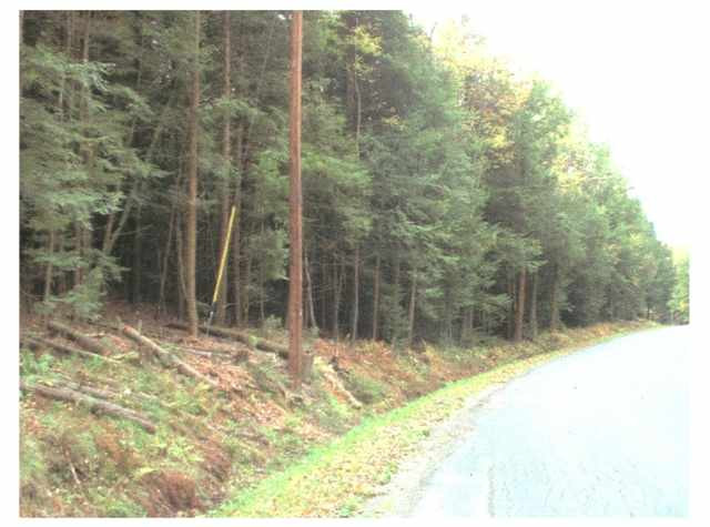 310 Fifty Six Road Petersburg, NY 12138 - Photo 1 of 2 Photo 1