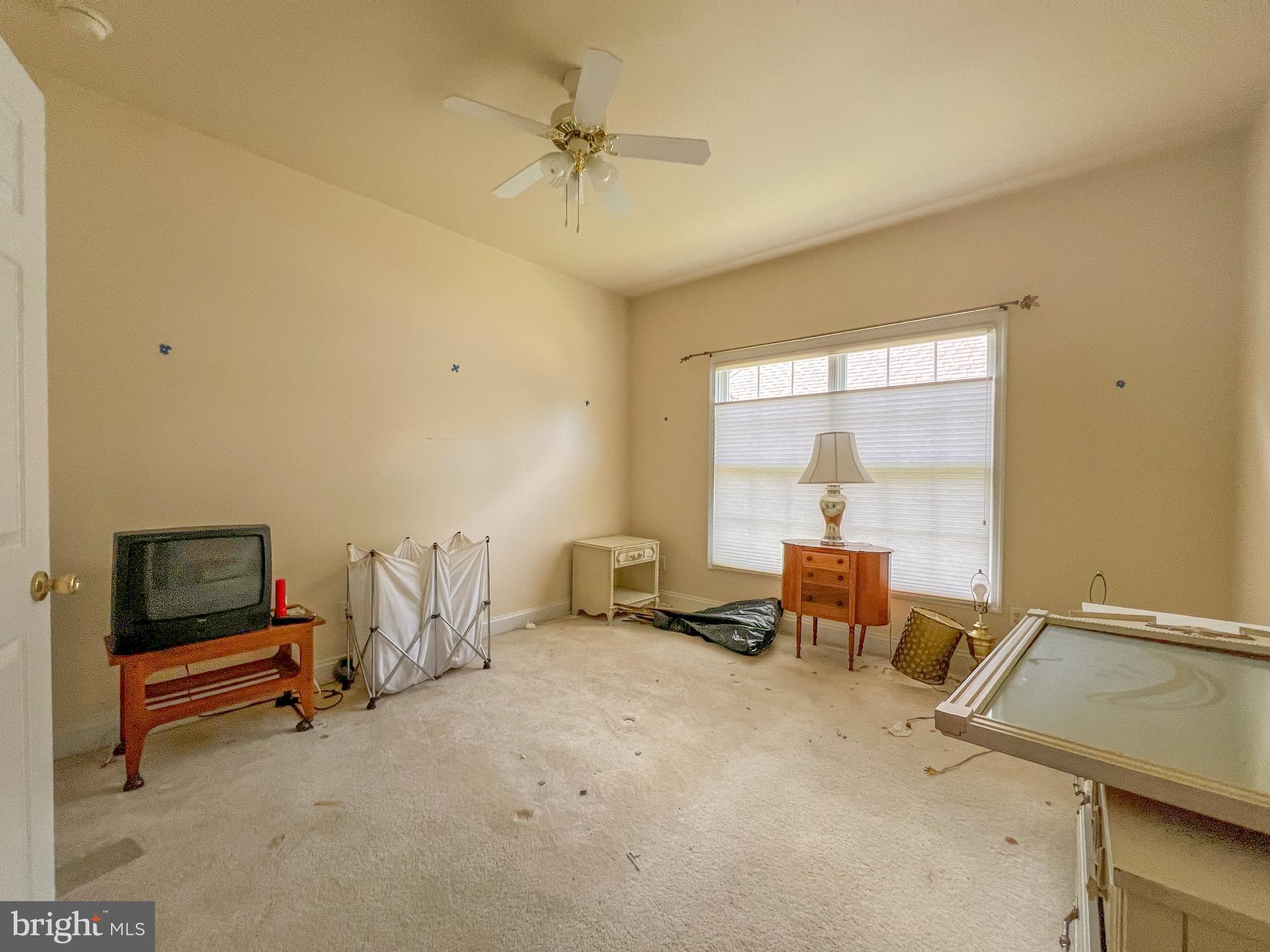 116 Morgan Way Milton, DE 19968 - Photo 12 of 28