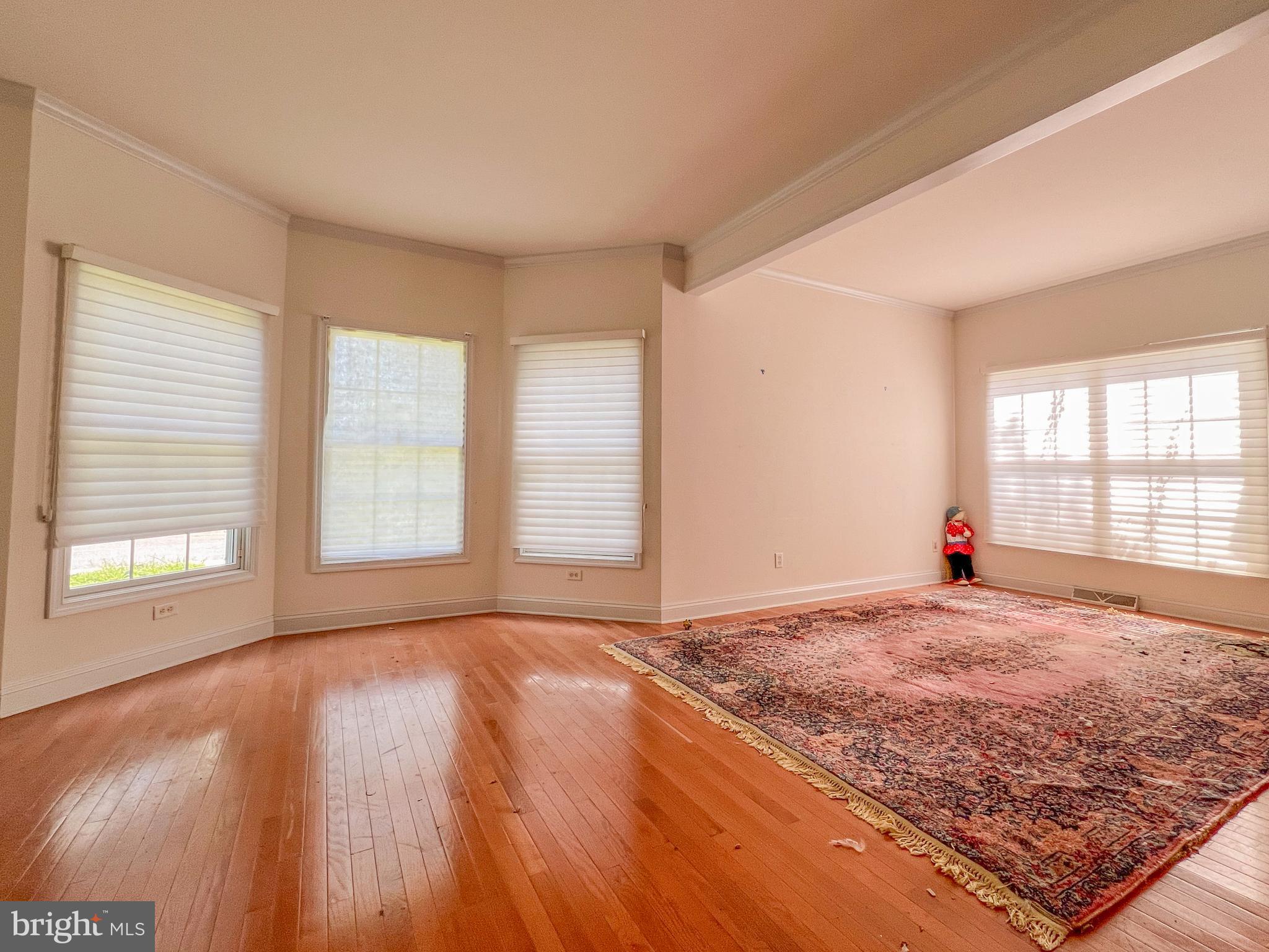 116 Morgan Way Milton, DE 19968 - Photo 2 of 28