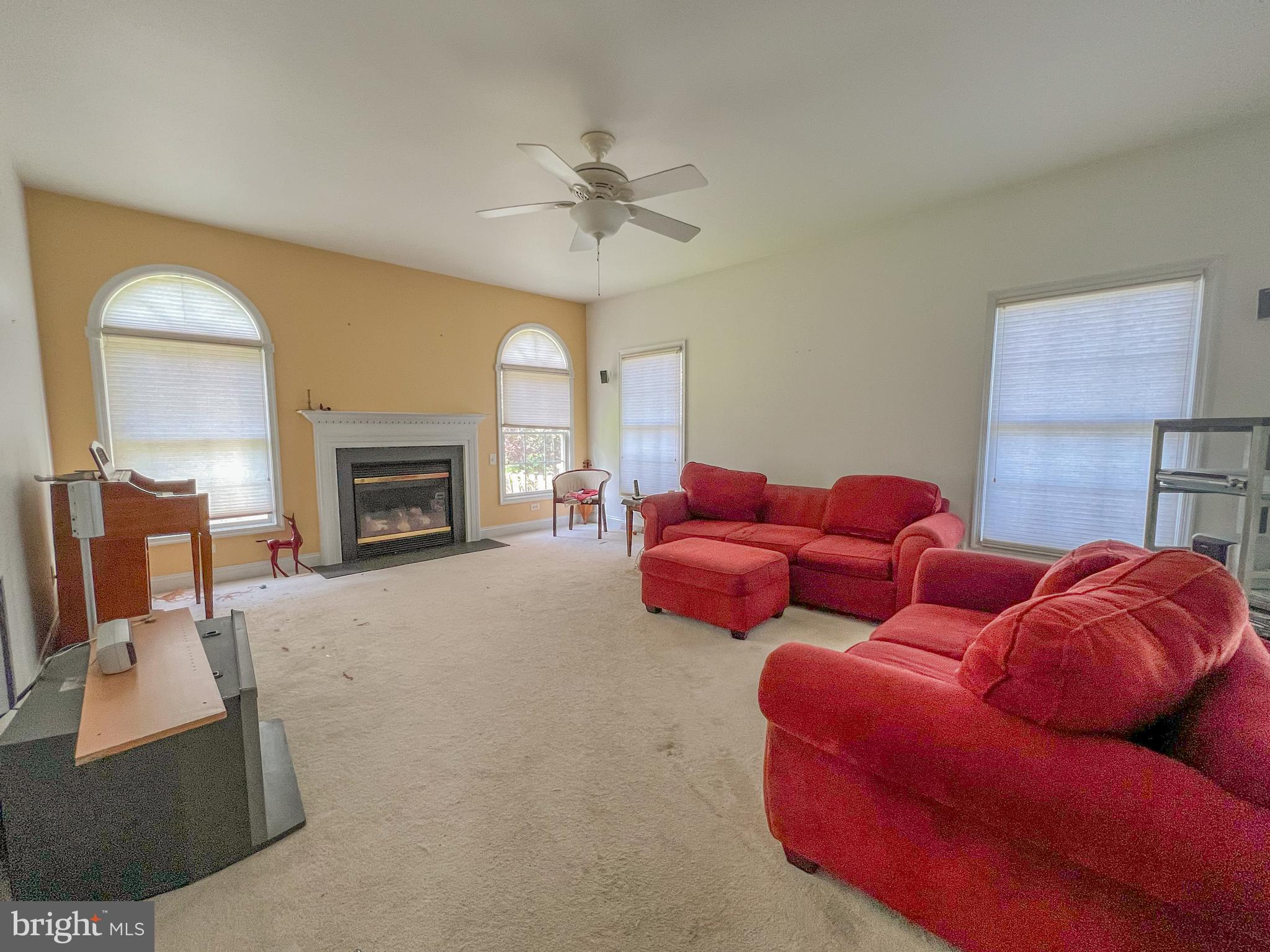 116 Morgan Way Milton, DE 19968 - Photo 5 of 28