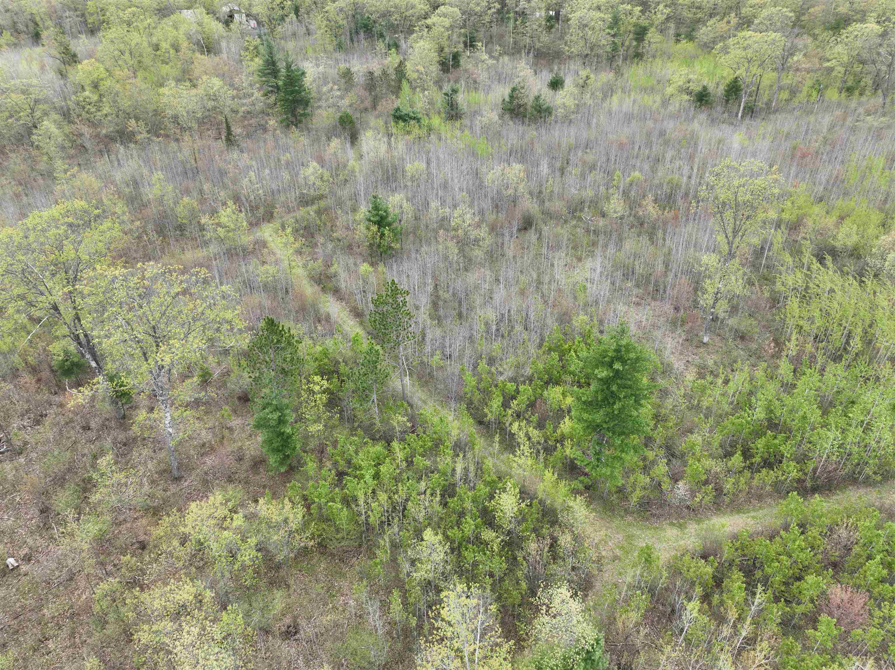 Crain Lane Pembine, WI 54156 - Photo 1 of 1