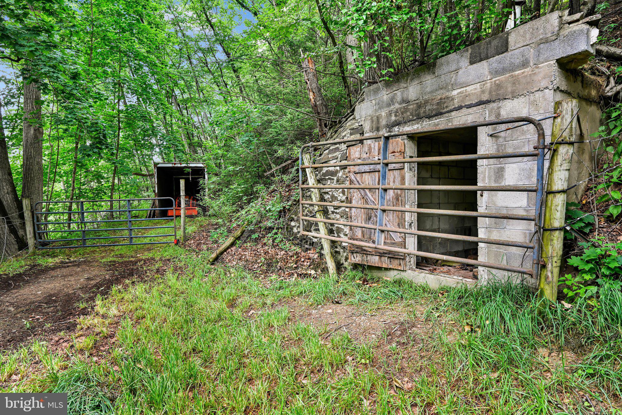 15 Rock Road Pine Grove, PA 17963 - Photo 41 of 57 Backyard
