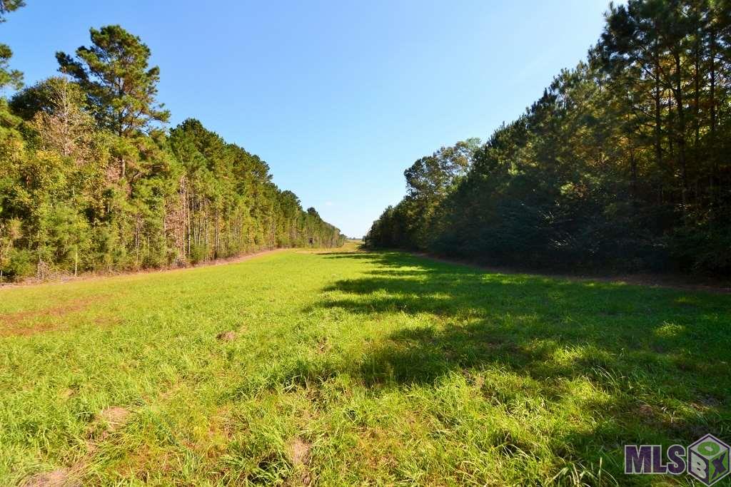 8966 Battle Road Ethel, LA 70730 - Photo 3 of 17 Gallery Image 3