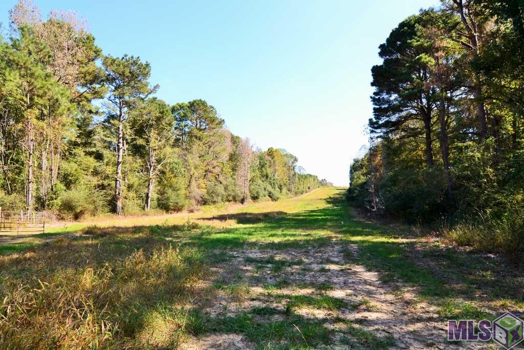 8966 Battle Road Ethel, LA 70730 - Photo 6 of 17 Gallery Image 6