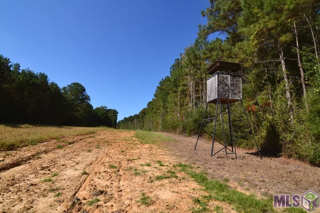 8966 Battle Road Ethel, LA 70730 - Photo 8 of 17 Gallery Image 8