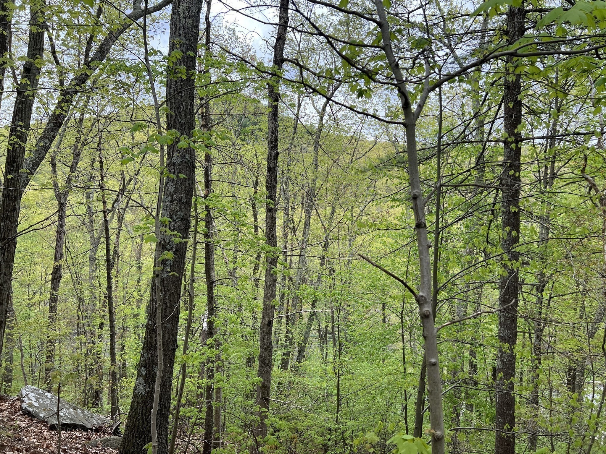 599-607 Old Warren Road Palmer, MA 01069 - Photo 11 of 13 Gallery Image 11