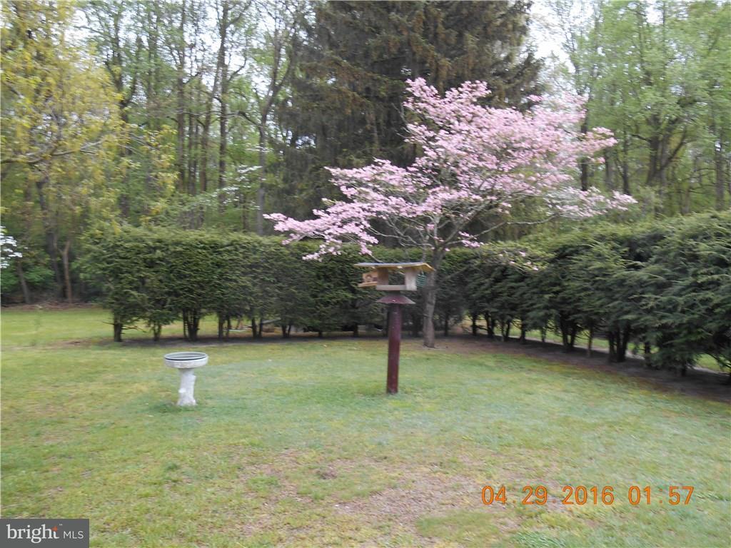 8165 Shawnee Road Milford, DE 19963 - Photo 11 of 15 Gallery Image 11