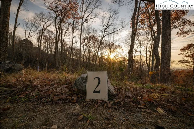 a view of backyard with green space