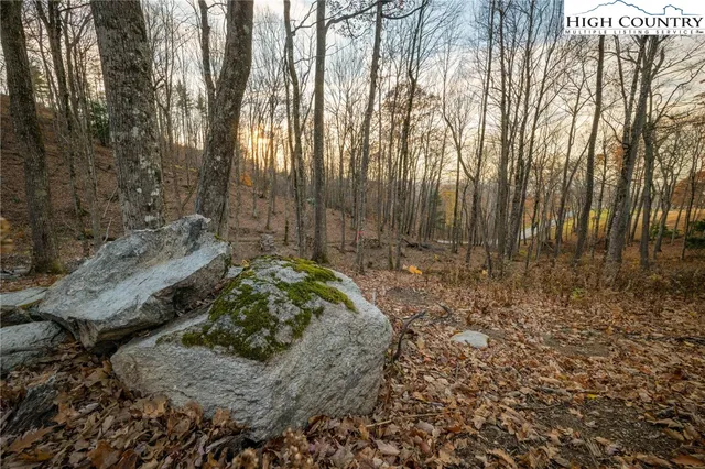 a view of a backyard of the house