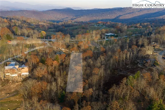 a view of a yard with trees