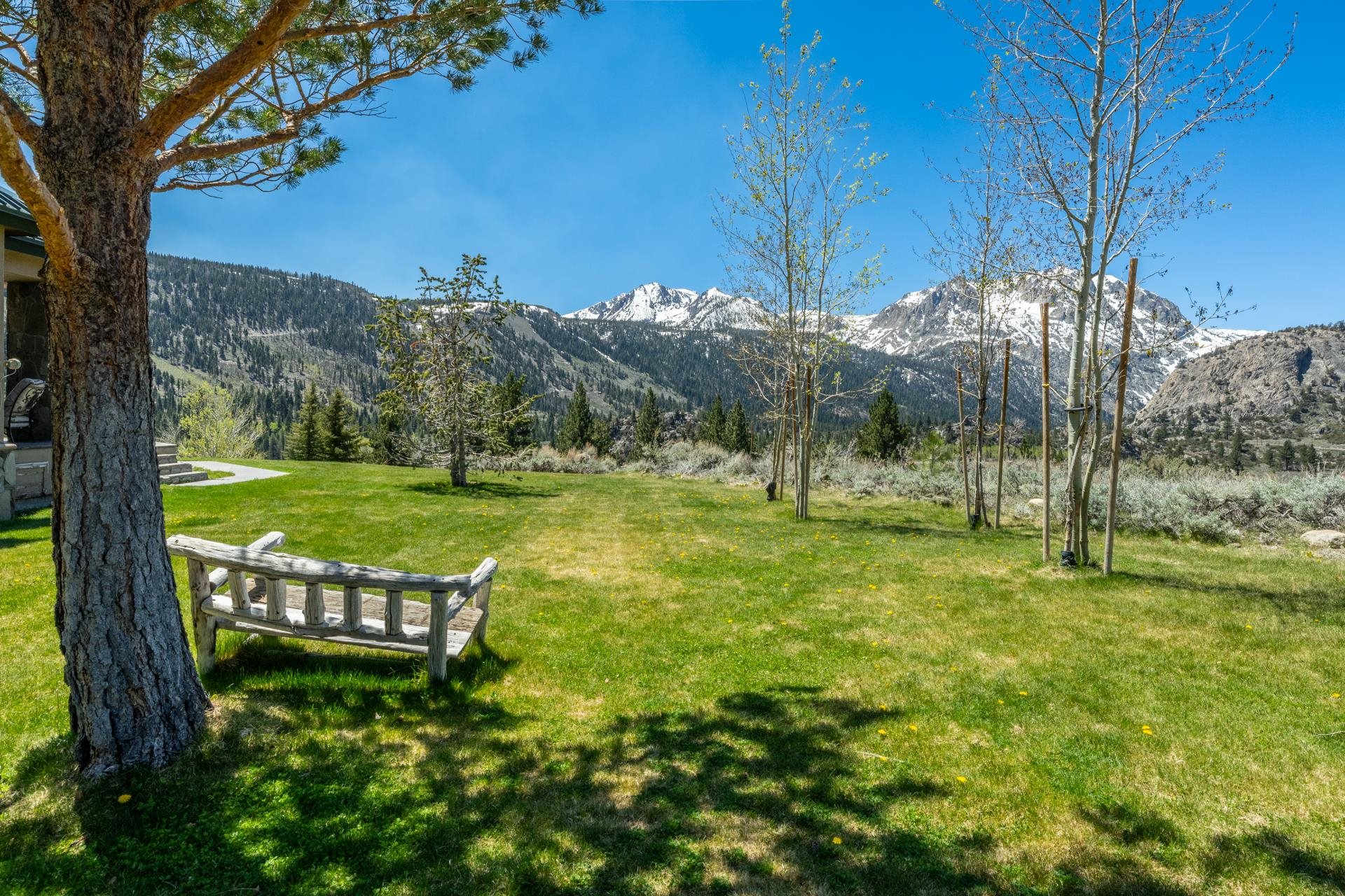 45 Skyline Road June Lake, CA 93529 - Photo 51 of 58 a view of a garden with a tree