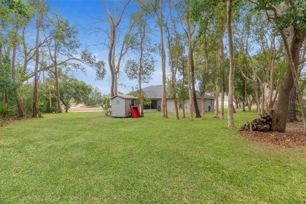 1170 Barger Avenue Spring Hill, FL 34608 - Photo 44 of 49