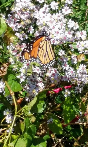 $199,950 | 2940 North 63rd Street, Kansas City, KS 66104