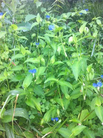 $199,950 | 2940 North 63rd Street, Kansas City, KS 66104